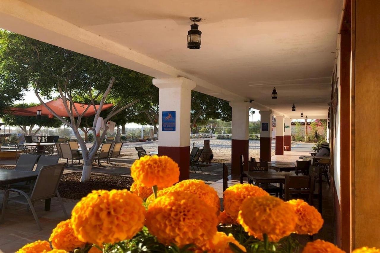 Hotel Las Palmas San Felipe  Bagian luar foto
